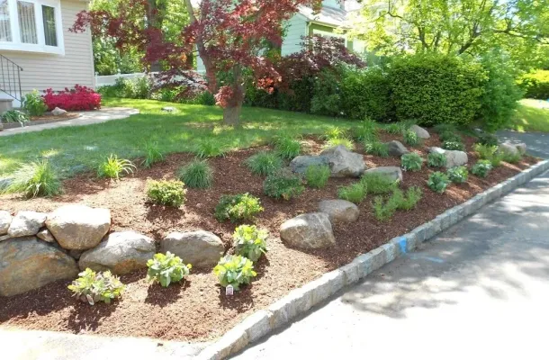 Plantings