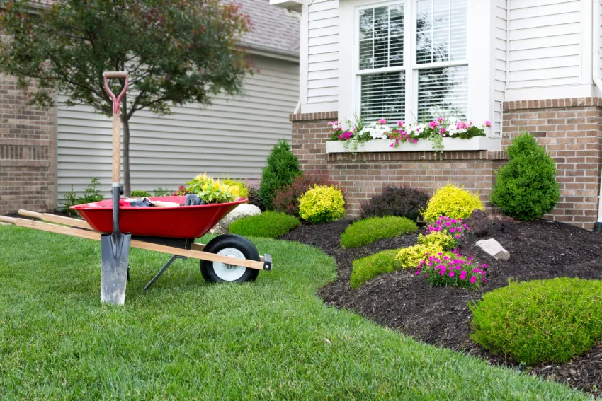 Retaining Wall