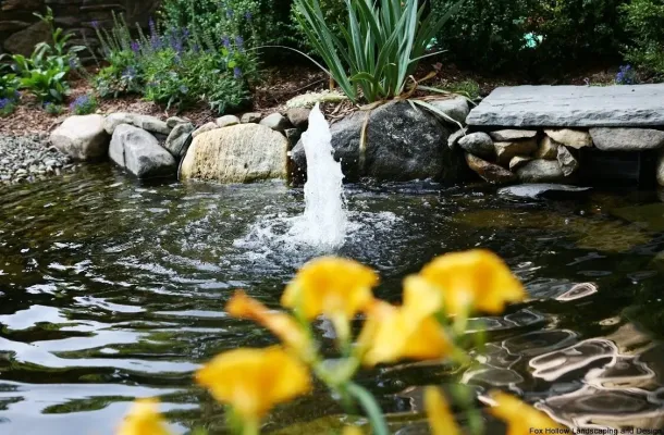 Water Features