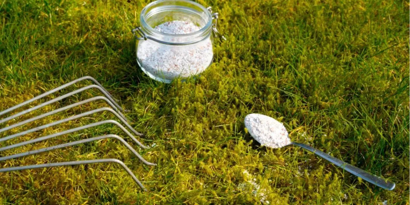 The-Benefits-of-Liming-Your-Lawn-1024x660